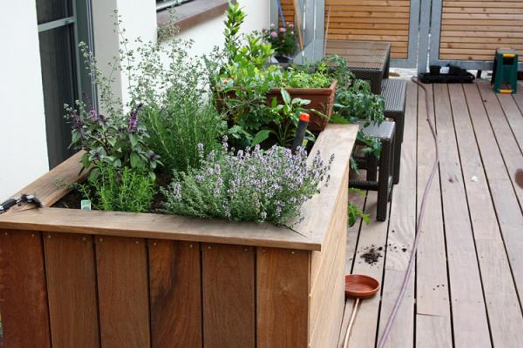 Hochbeet aus Holz mit Kräutern auf Terrasse